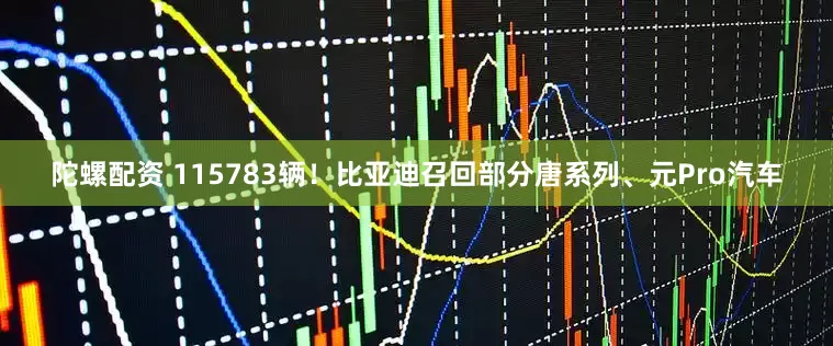 陀螺配资 115783辆!比亚迪召回部分唐系列、元Pro汽车