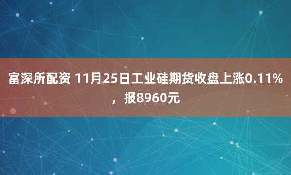 富深所配资 11月25日工业硅期货收盘上涨0.11%，报8960元