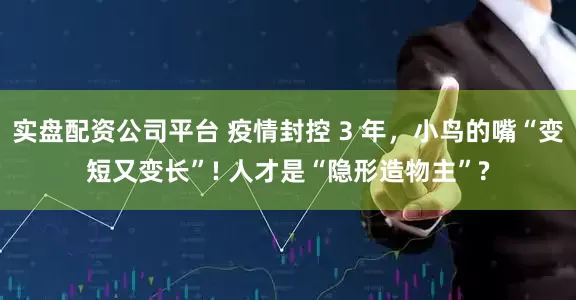 实盘配资公司平台 疫情封控 3 年，小鸟的嘴“变短又变长”! 人才是“隐形造物主”?